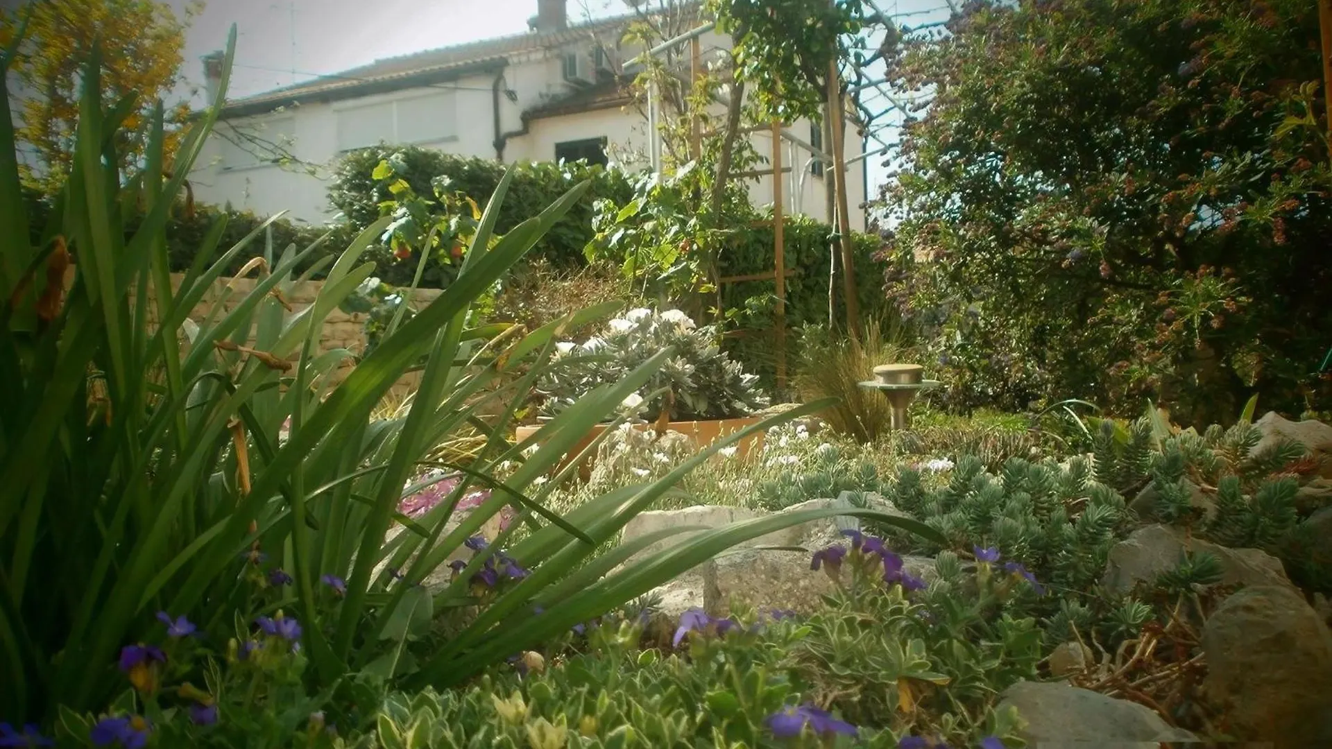 Appartement Vrancic3 Mit Eigener Terrasse